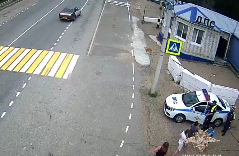 Полицейские в Чите доставили до больницы малыша с повреждённым пальцем Полицейские в Чите доставили до больницы малыша с повреждённым пальцем