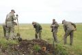 Тридцать фотокамер следят за жизнью манулов в Даурском заповеднике