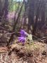 ������� � ������ �����: ���������� ����� ���������� � ������������ �����������
