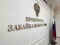 Прокуратура проверит обстоятельства гибели девочки на водоёме в Забайкалье