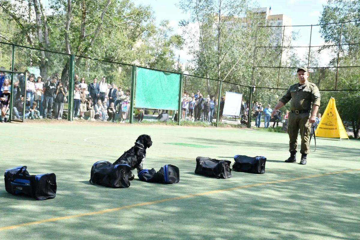 Выступления кинологических служб покажут во время празднования Дня парка Дома офицеров Забайкалья Выступления кинологических служб покажут во время празднования Дня парка Дома офицеров Забайкалья