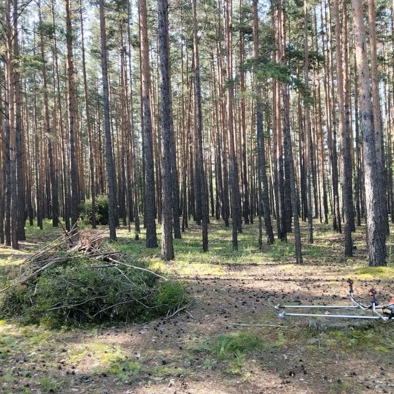 В районе санатория "Карповка" сотрудники Читинского участка КГСАУ "Забайкаллесхоз" Верхне-Читинского лесничества выполняют мероприятие по устройству противопожарного заслона в рамках национального проекта "Экологическое... В районе санатория "Карповка" сотрудники Читинского участка КГСАУ "Забайкаллесхоз" Верхне-Читинского лесничества выполняют мероприятие по устройству противопожарного заслона в рамках национального проекта "Экологическое...