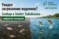 #ЭкоДело. Экобот Забайкалья — сообщить об экологической проблеме просто! Перейди в чат-бот: