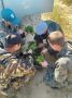 В Бадинском лесничестве проводят агротехнический уход за лесными культурами