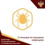 Роспотребнадзор мониторирует ситуацию с заболеваемостью КВЭ и укусами клещей на территории края