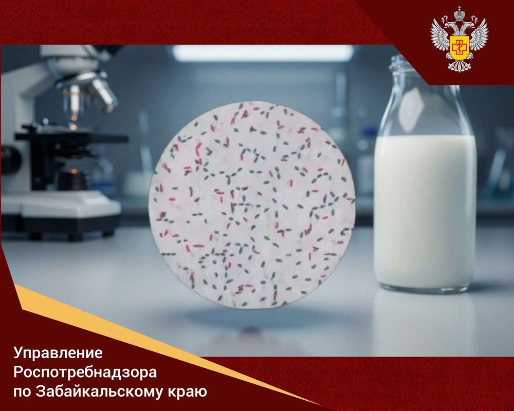 Чем опасен бруцеллёз? . В рамках коммуникационной стратегии «Санпросвет» специалисты Управления Роспотребнадзора по Забайкальскому краю напоминают, что такое бруцеллёз и чем он опасен