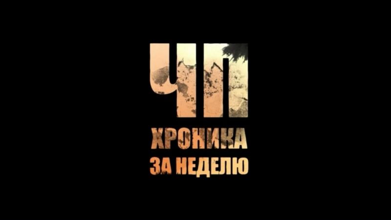 Телефон в подошве, оружие и сигареты вне закона в программе "ЧП.Хроника за неделю" от 22.08.26: