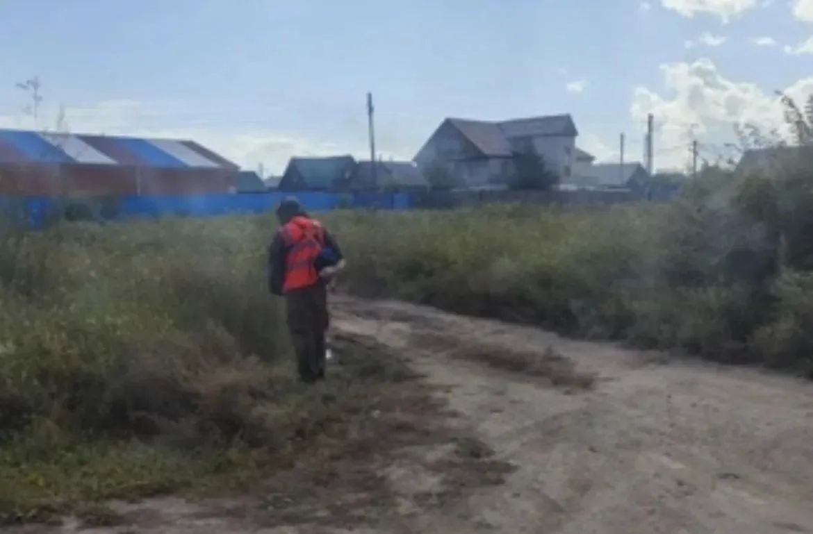 65399 квадратным метров травы скосили в Чите за минувшую неделю
