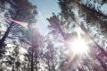 Привет, друзья!. Желаем вам хорошего настроения на весь день Фото: Виктория Михайлюк