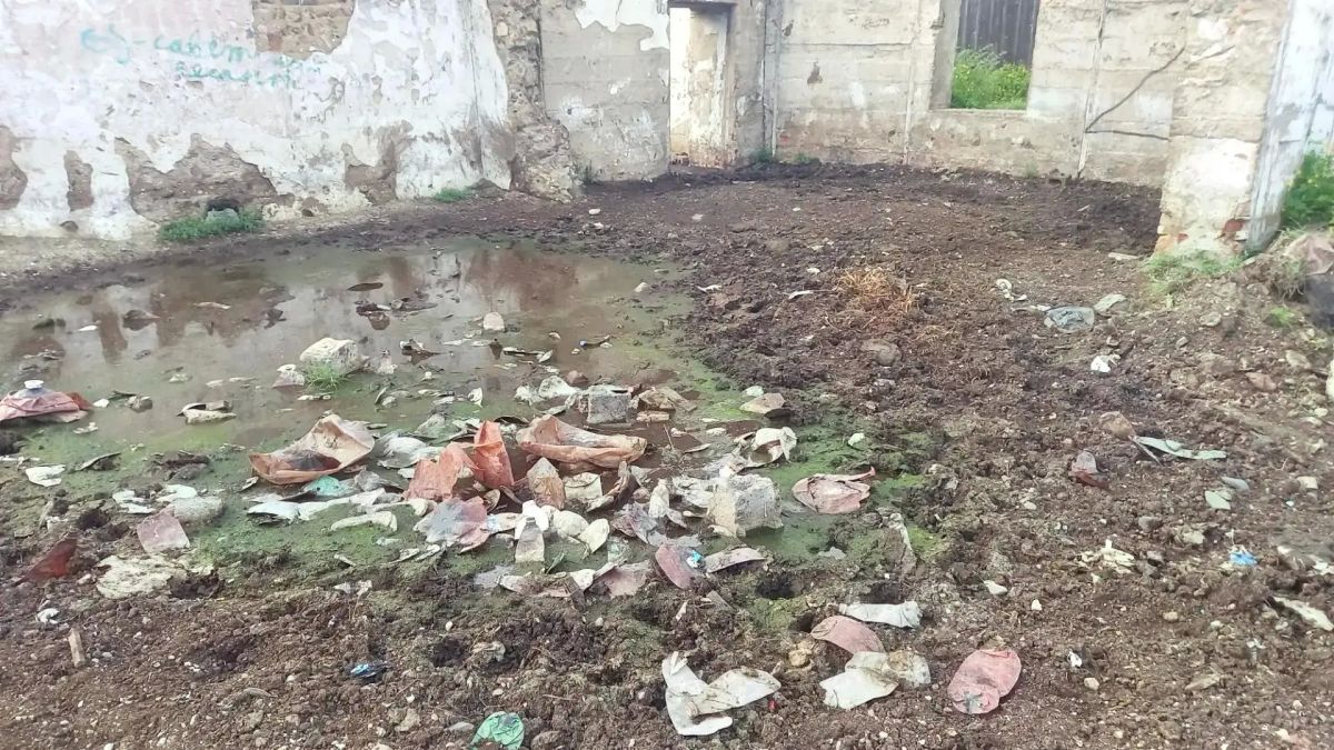 Размещение отходов на территории федерального земельного участка выявили в Газимурском Заводе Размещение отходов на территории федерального земельного участка выявили в Газимурском Заводе