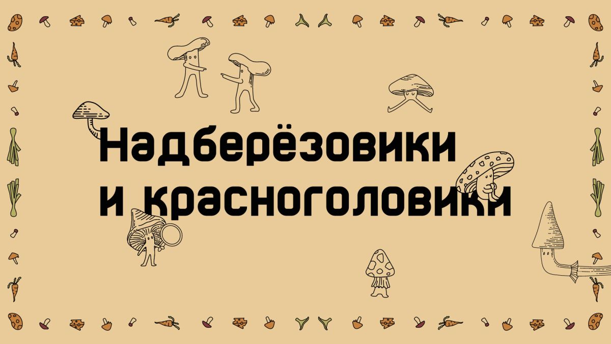 Сезон тихой охоты на Ямале