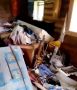 Любопытные медведи устроили погром на кордоне в заказнике Забайкалья