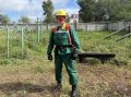Инструктор из Могочи поборется за звание лучшего лесного пожарного России