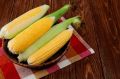 Как сохранить кукурузу: свежесть на любой случай