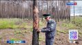 � ���������� ��-�� ����������� ������� ������� ����������� ������������ ���������