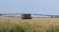 Аграрии Нового Беклемишево готовятся к уборочной кампании