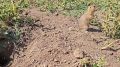 Доброе утро. Вот и началась новая рабочая неделя