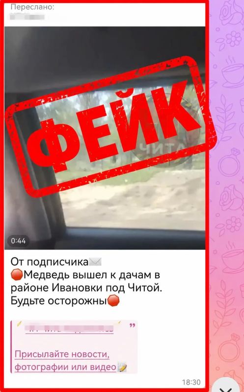 Видео с медведем возле дач в Ивановке оказалось фейком Видео с медведем возле дач в Ивановке оказалось фейком