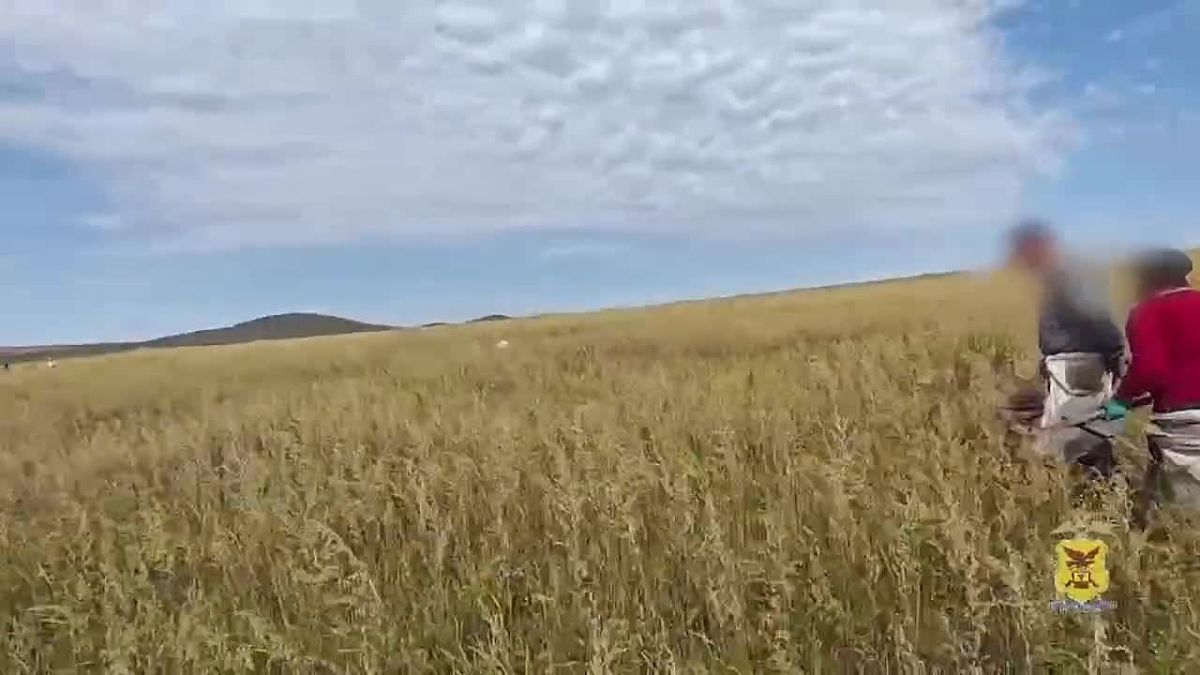 Туристы отправились в поля Забайкалья вместо экскурсий
