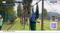 ������������� �������������� ���� ����� � ����� 20 ���������� ������ �������� �� ���������-����������� ��������