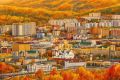 Дорогие читинцы и гости нашего города!