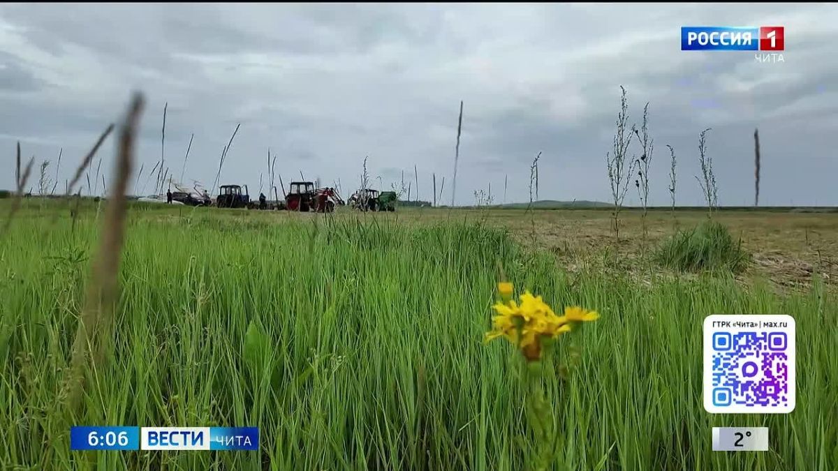 Аграрии Забайкалья заготовили 63% сена от плановых показателей
