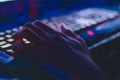 Забайкальские школьники и студенты смогут бесплатно изучать ИТ по проекту «Код будущего»