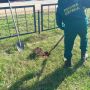 В Парке Победы поселка Сбега Могочинского округа — зеленое пополнение!