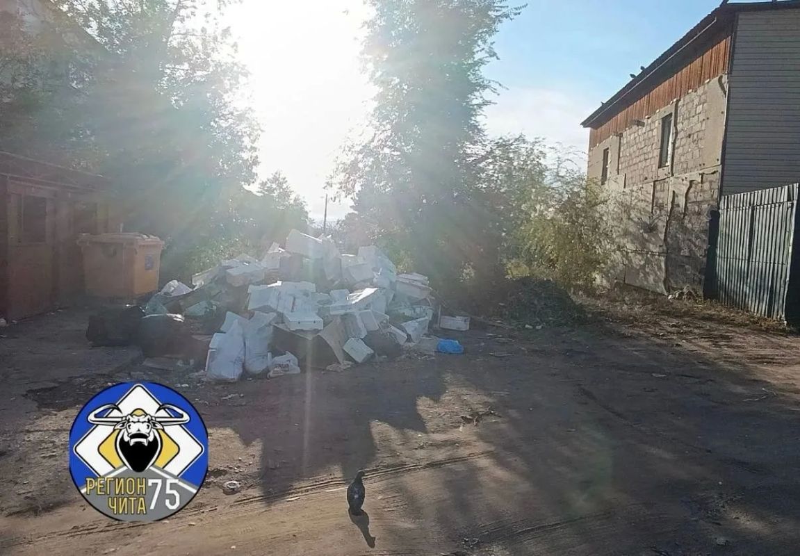 #эконадзор. Эконадзор взял в работу свалку на 4-й Каштакской В СМИ появилась информация о скоплении отходов на контейнерной площадке по ул. 4-й Каштакской в Чите #эконадзор. Эконадзор взял в работу свалку на 4-й Каштакской В СМИ появилась информация о скоплении отходов на контейнерной площадке по ул. 4-й Каштакской в Чите