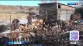 В Забайкалье увеличен размер единовременной выплаты на покупку дров, угля для участников СВО и членов их семей