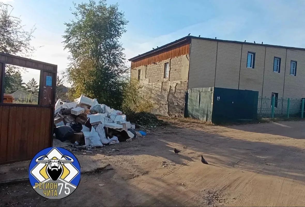#эконадзор. Эконадзор взял в работу свалку на 4-й Каштакской В СМИ появилась информация о скоплении отходов на контейнерной площадке по ул. 4-й Каштакской в Чите #эконадзор. Эконадзор взял в работу свалку на 4-й Каштакской В СМИ появилась информация о скоплении отходов на контейнерной площадке по ул. 4-й Каштакской в Чите