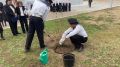 Яблоню в память о Герое РФ Егоре Секержитском высадили во дворе школы в Чите