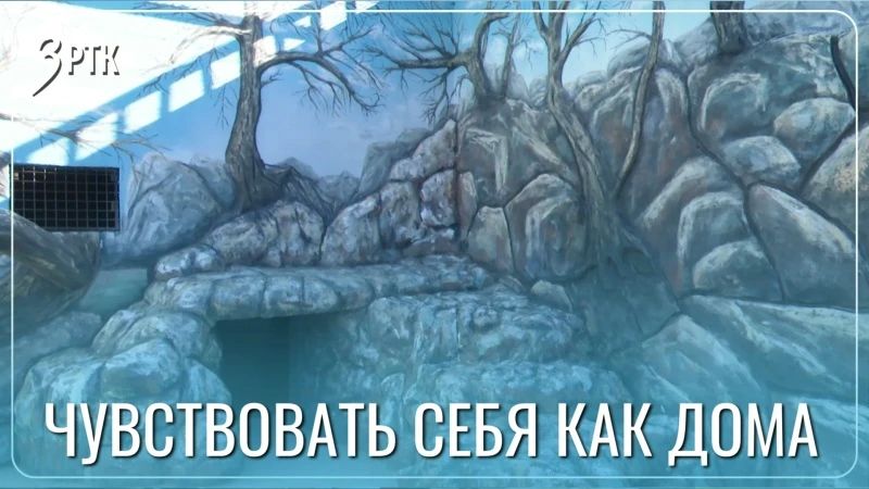 Звериные истории: в «Амодово» расписывают новые вольеры