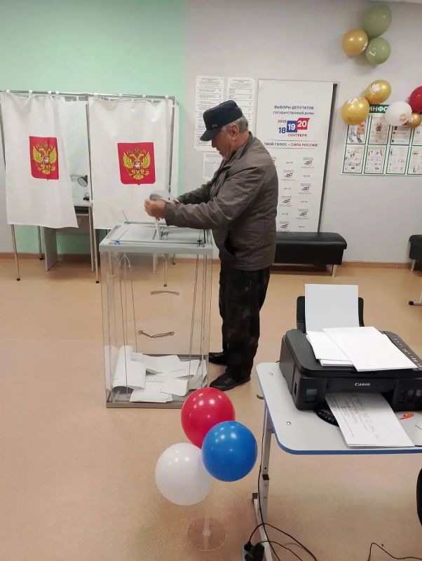 Лес — это семейная традиция Лес — это семейная традиция