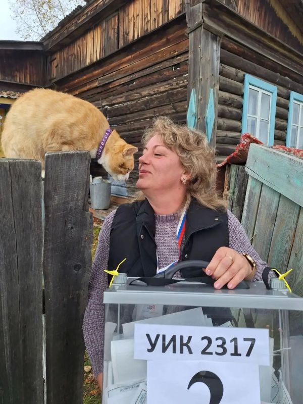 Пока мы выбираем будущее, наши четвероногие друзья выбирают Пока мы выбираем будущее, наши четвероногие друзья выбирают