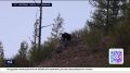 � ���� ��-�� ��������� ������� �� ��������� ����� �������� ������� ������� ����������� �����