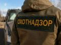 Забайкальские охотники добыли 28 медведей за месяц из-за угрозы людям
