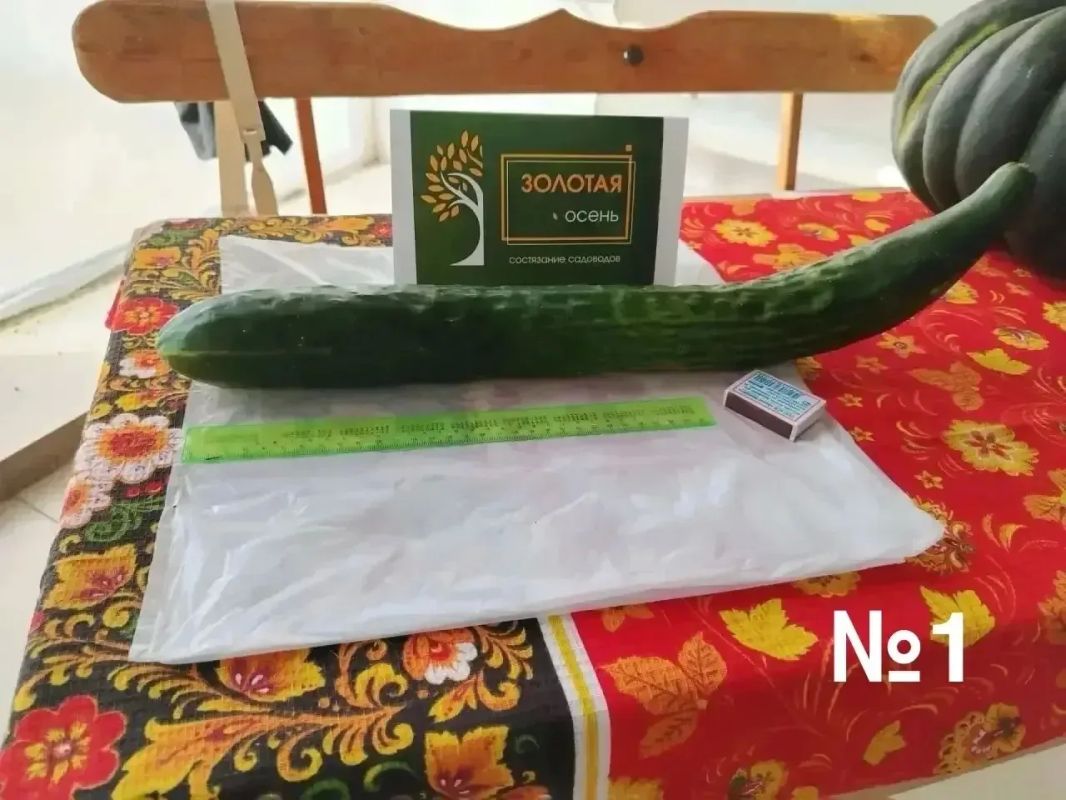 Подвели итоги народного голосования в конкурсе «Золотая осень Забайкалья», который проходил в выходные Подвели итоги народного голосования в конкурсе «Золотая осень Забайкалья», который проходил в выходные