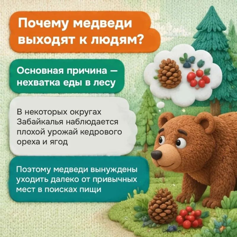 Что делать, если рядом оказался медведь? Что делать, если рядом оказался медведь?
