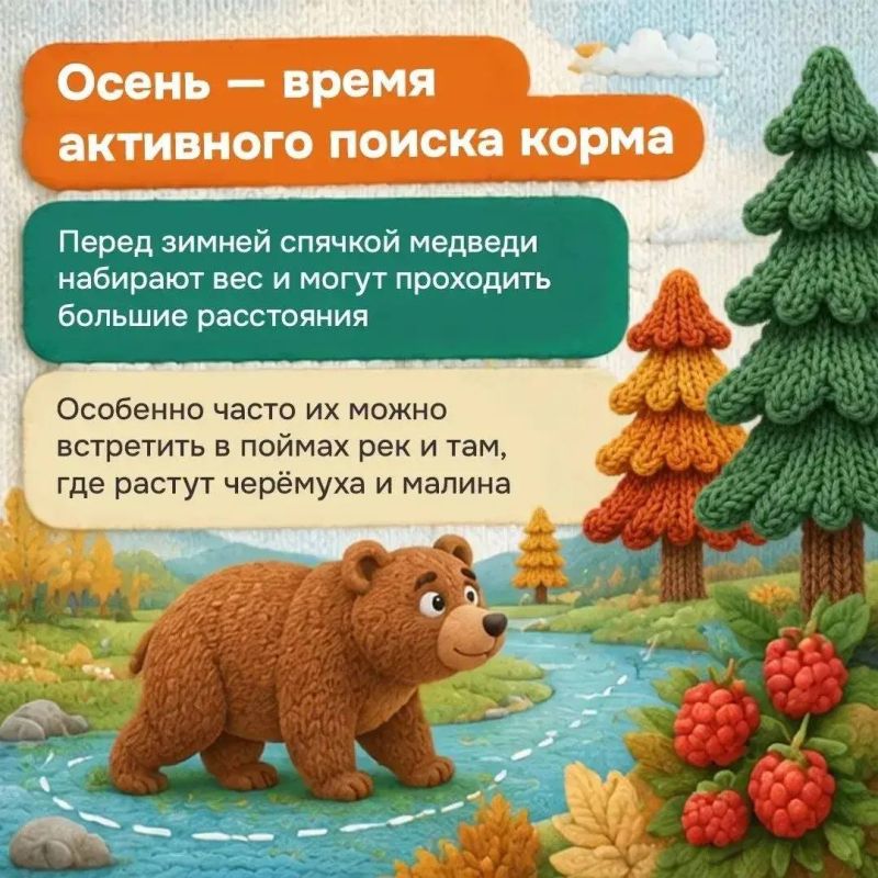 Что делать, если рядом оказался медведь? Что делать, если рядом оказался медведь?