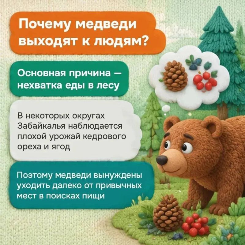 Что делать, если рядом оказался медведь? Что делать, если рядом оказался медведь?