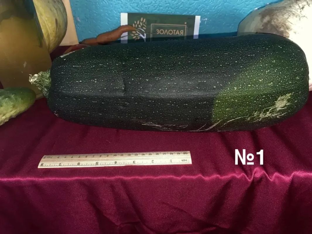 Подвели итоги народного голосования в конкурсе «Золотая осень Забайкалья», который проходил в выходные Подвели итоги народного голосования в конкурсе «Золотая осень Забайкалья», который проходил в выходные