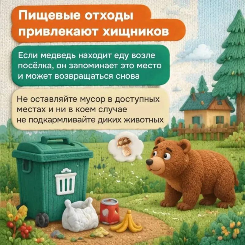 Что делать, если рядом оказался медведь? Что делать, если рядом оказался медведь?