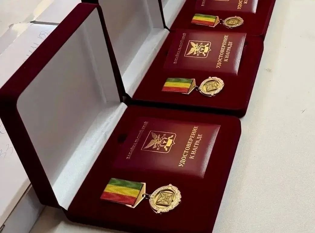 Двух забайкальских школьников наградят медалями «За честь и мужество»