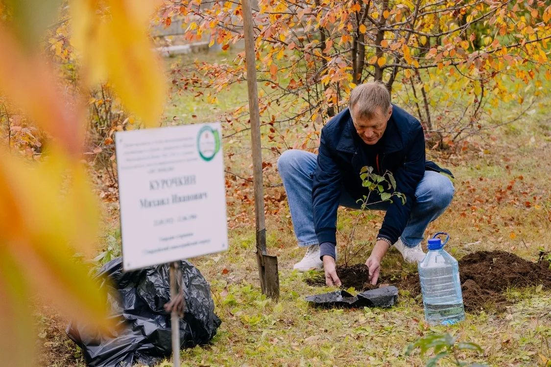 Железнодорожники высадили сирень в рамках проекта «Лес победы» Железнодорожники высадили сирень в рамках проекта «Лес победы»