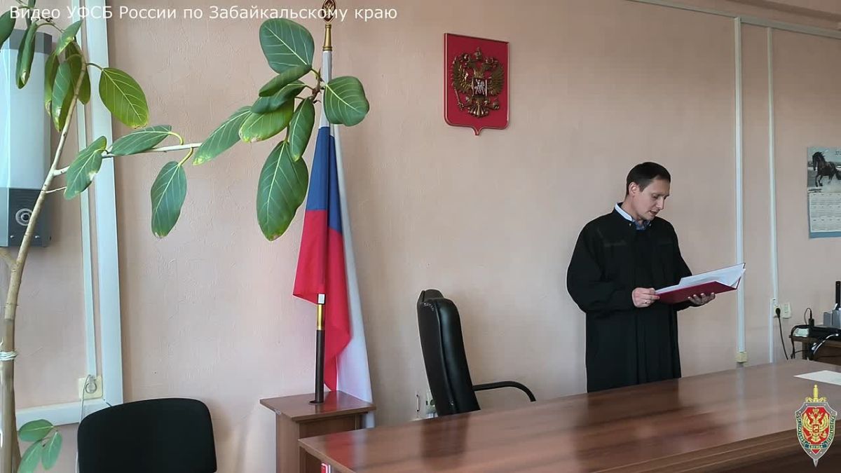 Сотрудник Приаргунского ПГХО осуждён за крупное мошенничество и незаконное хранение оружия