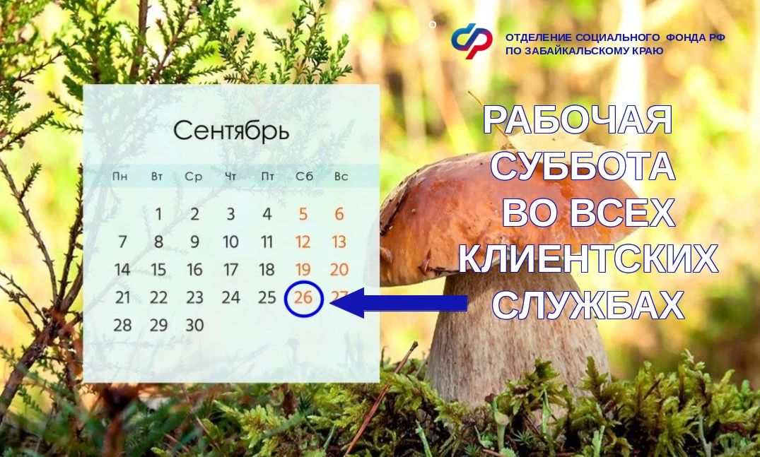 26 сентября - рабочая суббота во всех клиентских службах Отделения СФР по Забайкальскому краю