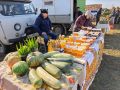 Более 150 тонн сельхозпродукции реализовали фермеры на ярмарке «Золотая осень Забайкалья»