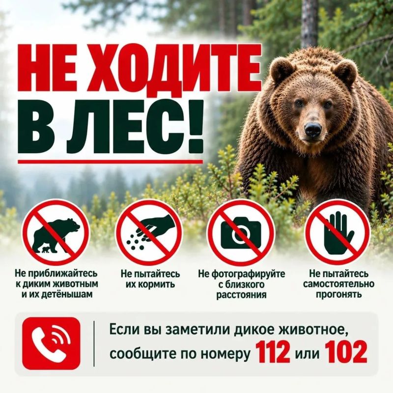 Мобильные группы охотоведов в Забайкалье продолжают патрули для оперативного реагирования на выходы диких животных