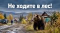 МЕДВЕДИ ВЫХОДЯТ К ЛЮДЯМ. В ЗАБАЙКАЛЬЕ УСИЛИЛИ ПАТРУЛИРОВАНИЕ